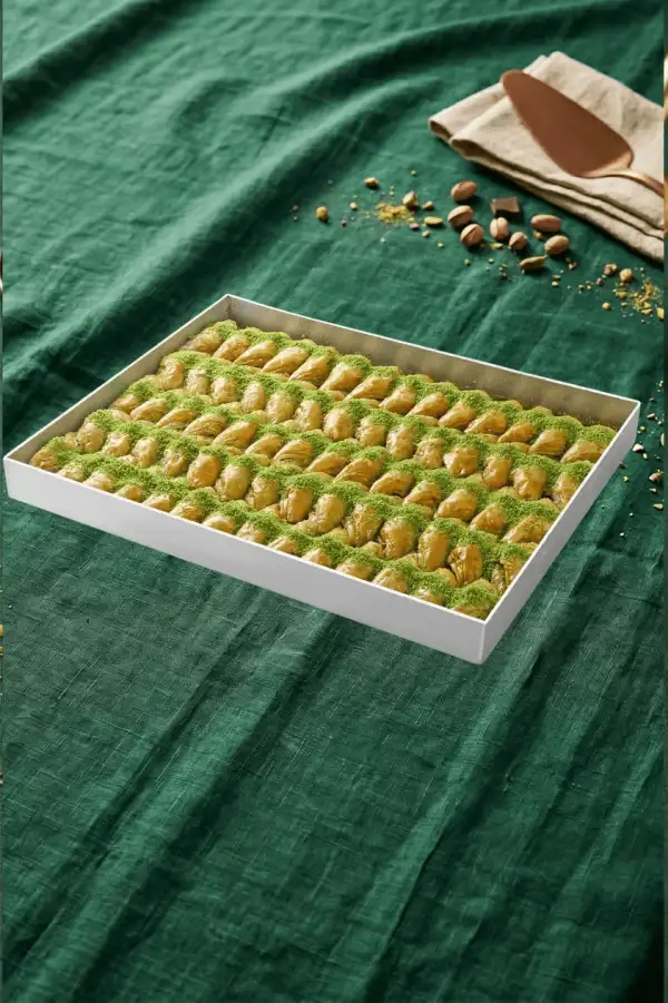 Sarı Burma