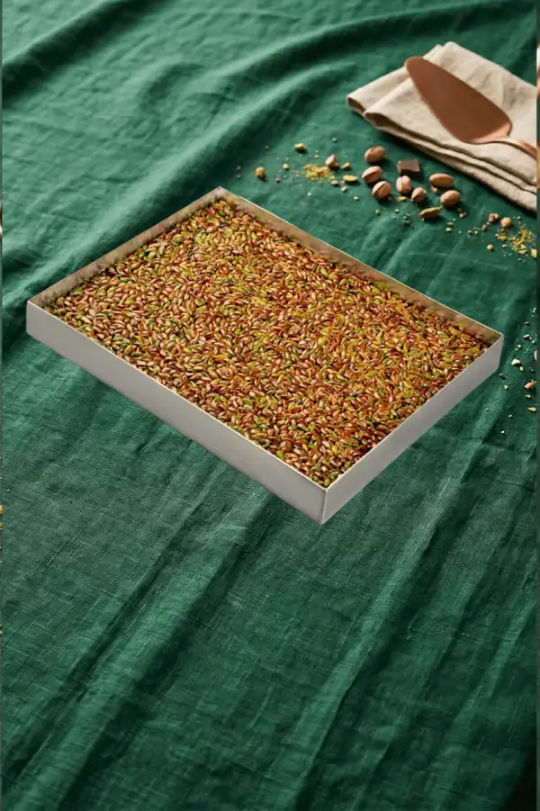 Padişah